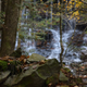Illustration for article titled Fall Photos 2